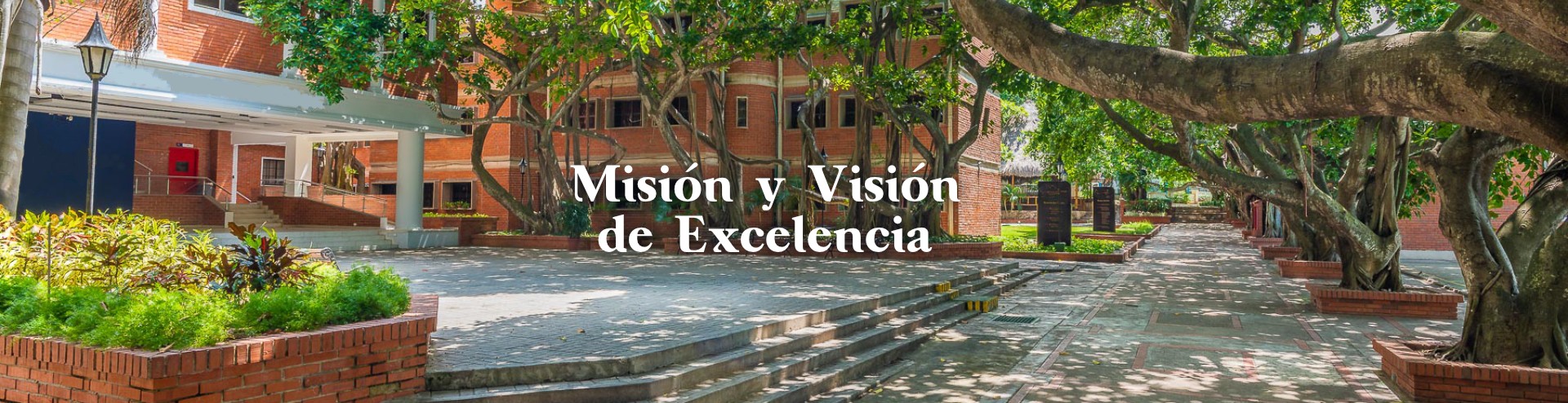 MISION-VISION